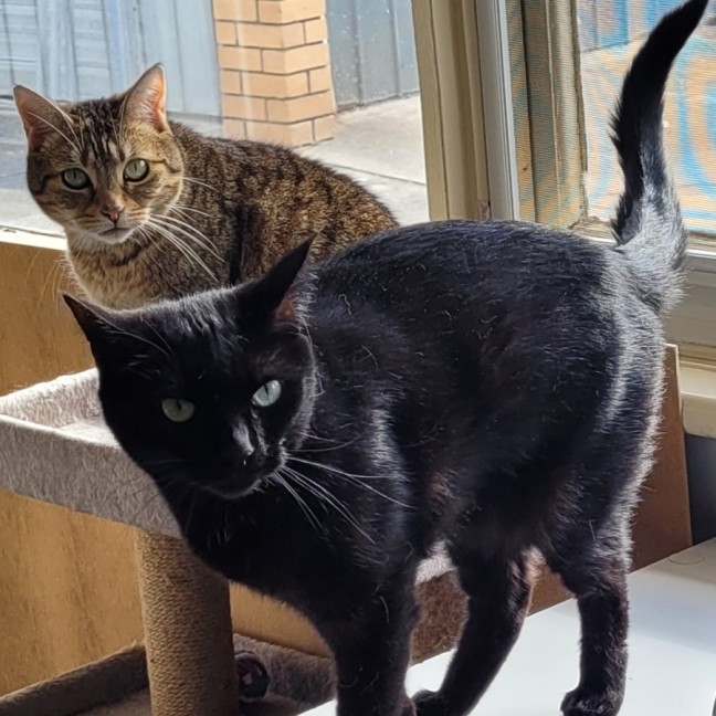 Photo of Sara & Marley