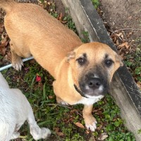 Photo of Vanity Smurf