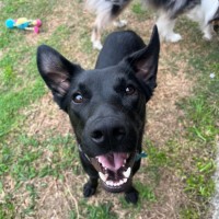Photo of Karma