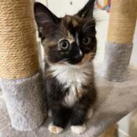 Photo of Cherish