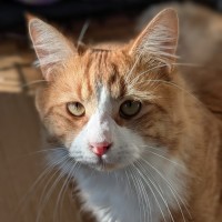 Photo of Mort