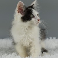 Photo of Sebastian