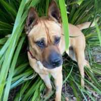 Photo of Narla