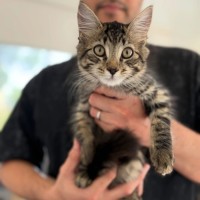 Photo of Dennis, Red, Leo 