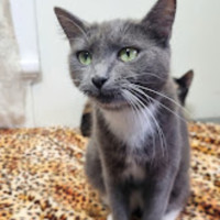 Photo of Phrada 🌒