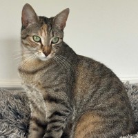 Photo of Anna
