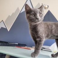 Photo of Maureen