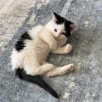 Photo of Rocket 🚀