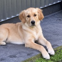 Photo of Luna