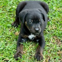 Photo of Zac 💙🐶