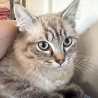 Photo of Wally
