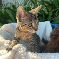 Photo of Isla💕💕💕