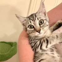 Photo of Oona