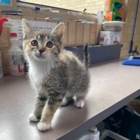 Photo of Clementine