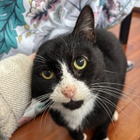Photo of Bartholomew