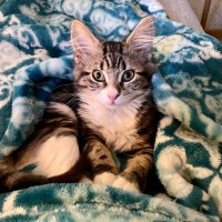 Photo of Winnie