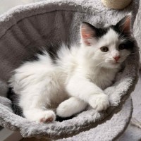 Photo of Rocket 🚀