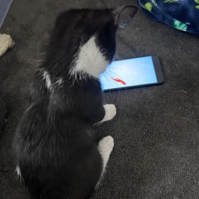 Photo of James Bond 💜