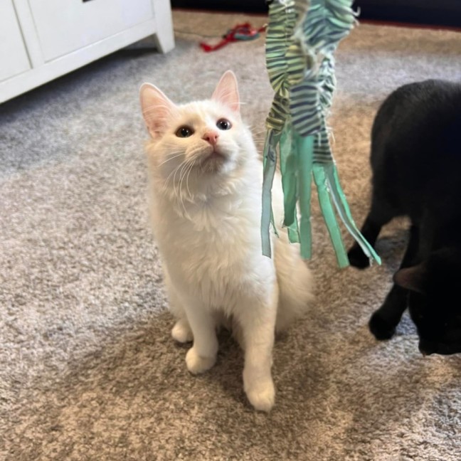 Photo of Miss Mellow