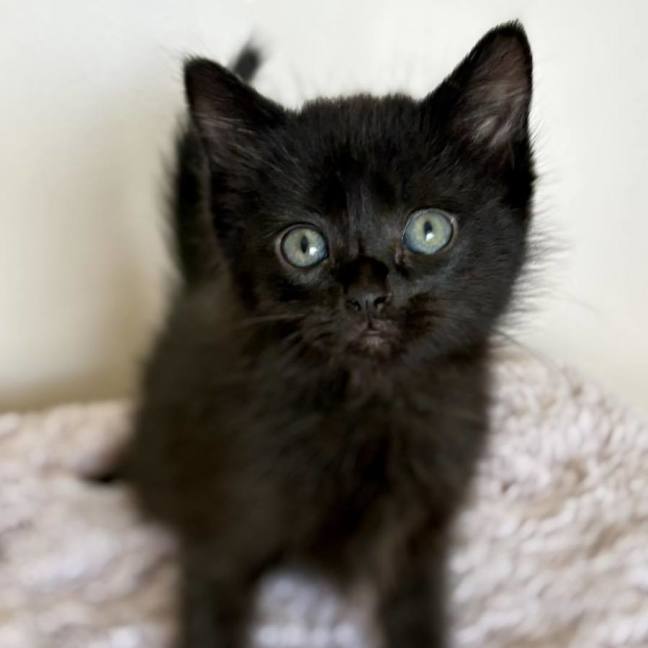 Photo of 🩷 Sabrina 🩷