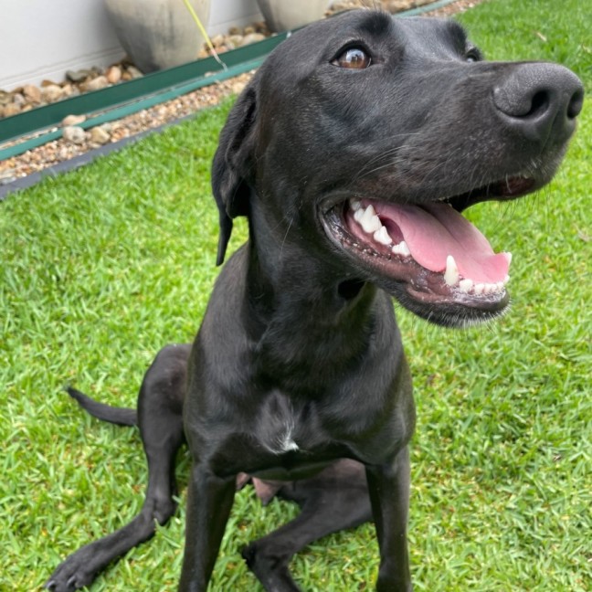 Photo of D1201 Mabel