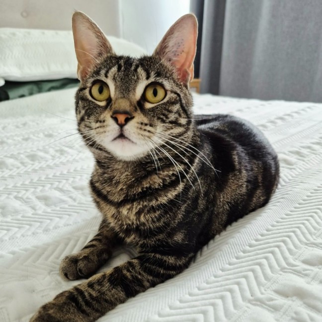 Photo of Yuki