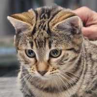 Photo of Dean Winchester