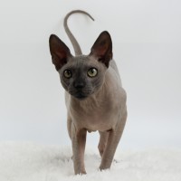 Photo of Mr Bobinsky