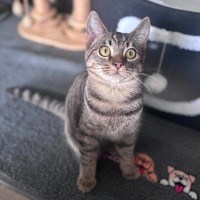 Photo of Little Man