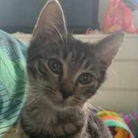 Photo of Luna
