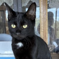 Photo of Larry