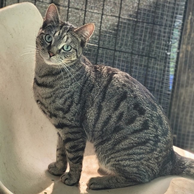 Photo of 🏹 Archer 🏹