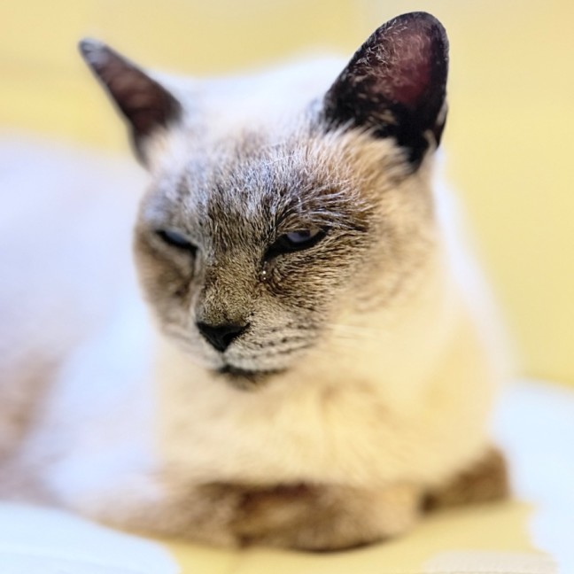 Photo of Audrey