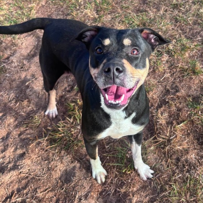 Photo of Tess