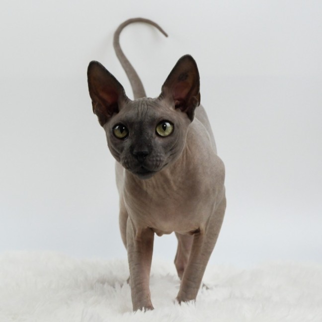 Photo of Mr Bobinsky