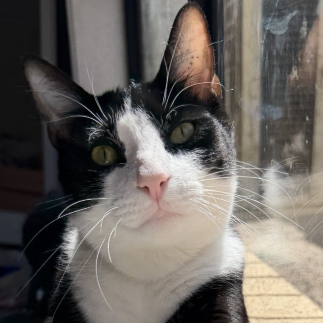 Photo of Paco