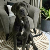 Photo of Clifford