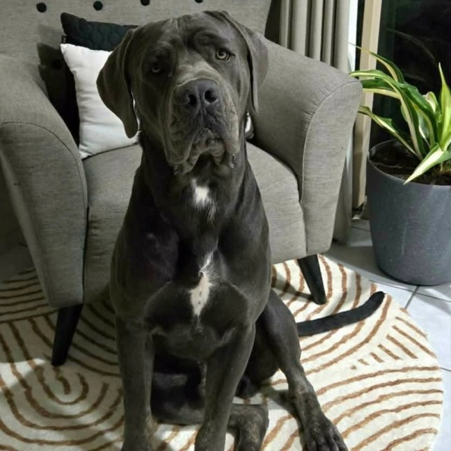 Photo of Clifford