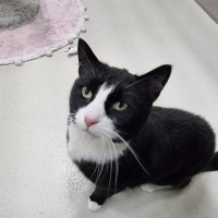 Photo of Benson