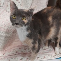 Photo of Maggie