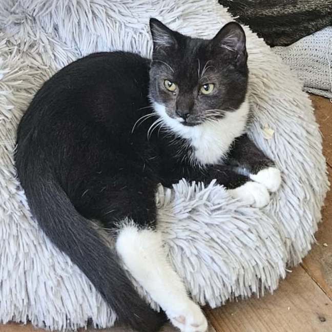 Photo of Stormy