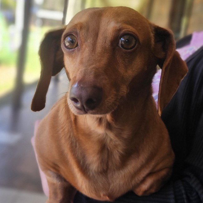 Photo of Chanel