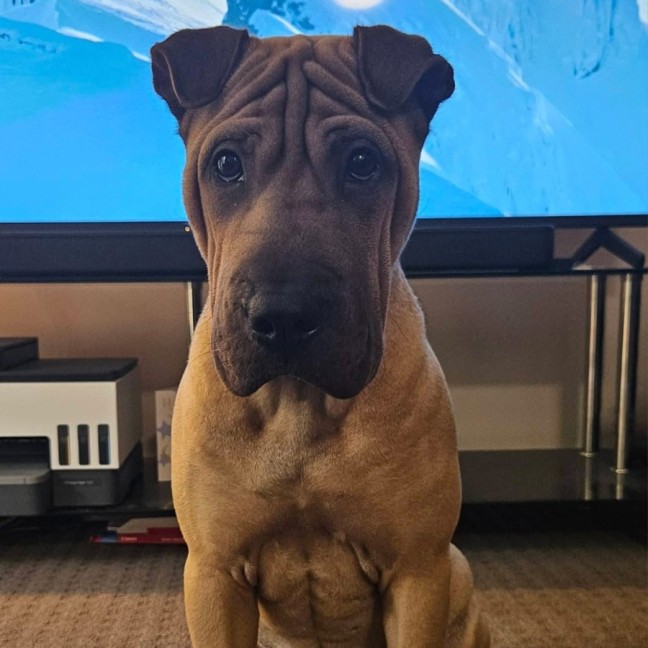 Photo of Sasha