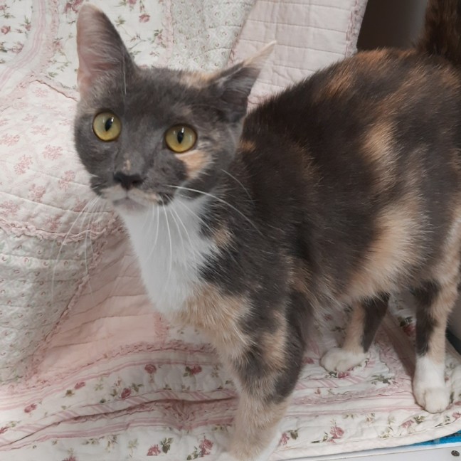 Photo of Maggie