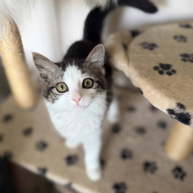 Photo of 🧚Elfina🧚‍♂️