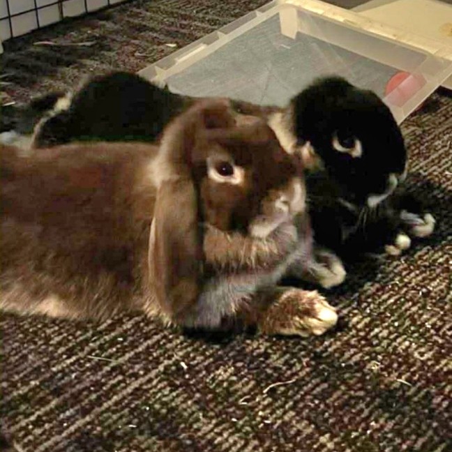 Photo of Jolene And Janelle 