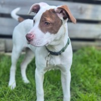 Photo of Aerona
