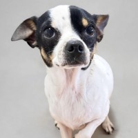 Photo of Bonty