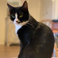 Photo of Buttons