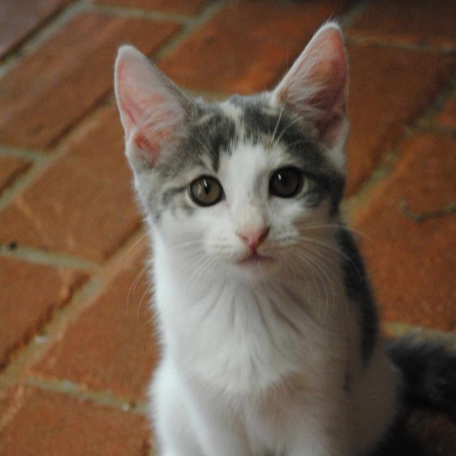 Photo of Kirrily